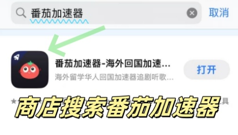 MalusVPN好用吗？和BlingVPN对比哪个回国效果更好？教程
