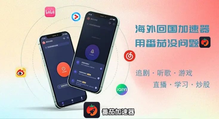 境外访问国内服务，苹果回国vpn使用与设置指南